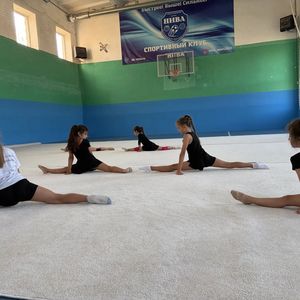 "Волшебный мир грации: набор девочек в секцию художественной гимнастики!"